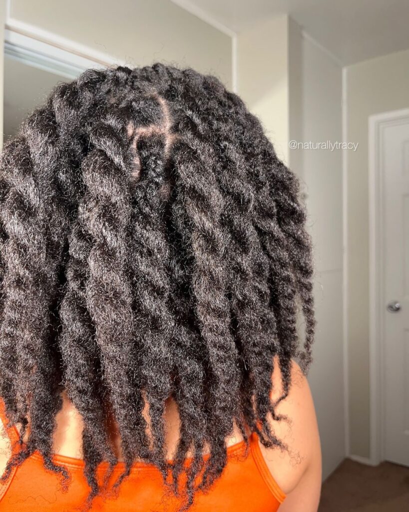 natural hairstyle ideas